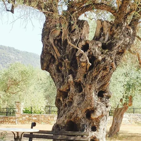 Apartamento Ipsario Garden