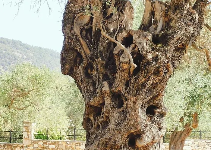 Daire Ipsario Garden