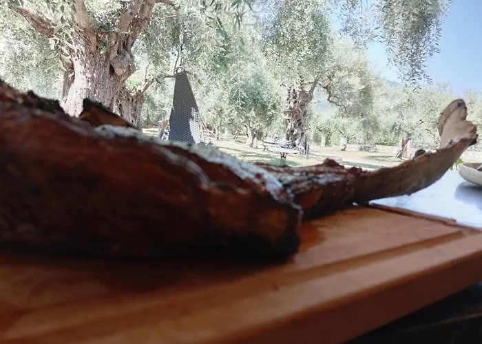 Ipsario Garden Apartment Skala Potamia (Thasos)